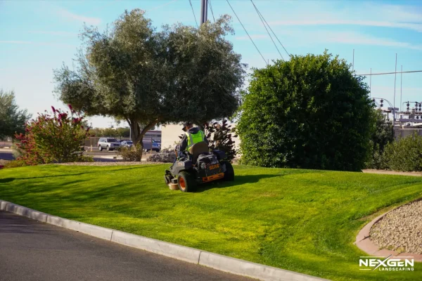 commercial landscaping Arizona