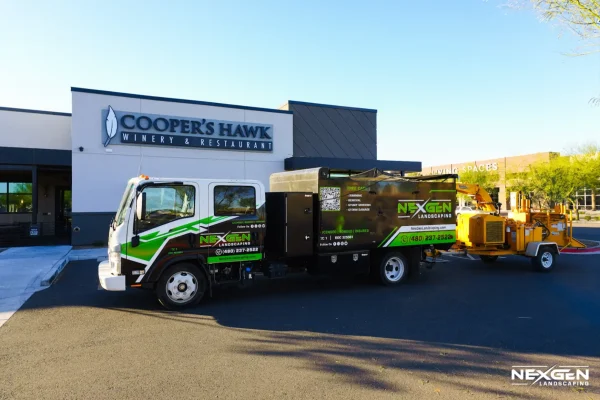 commercial landscaping Arizona