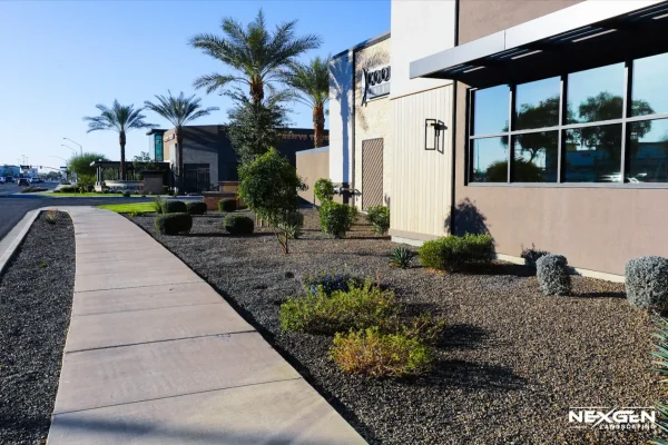 commercial landscaping Arizona